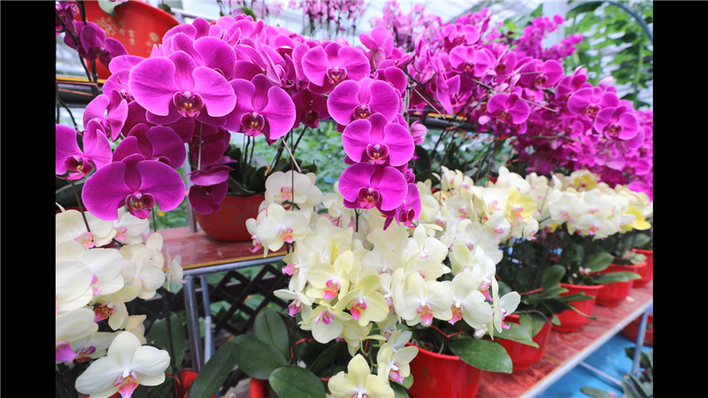 ???? ??????????????????????????3.jpg ???? ??????????????????????????3.jpg