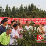 双牌县组织移民培训实用技术支撑移民发展产业