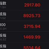 股市丨A股百股涨停 沪指涨0.96%重上2900点