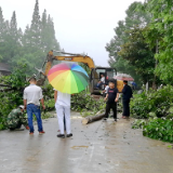 南县青树嘴镇：暴雨中的爱心送考再次起航