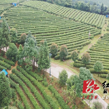 蓝山：百叠岭上白云飞