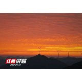 户帮户 亲帮亲丨蓝山：“能人”回乡设厂造福乡亲