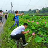 零陵：“莲蟹经济”铺出乡村振兴路