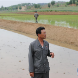 通讯：建设社会主义新农村是朝鲜党和农民的共同愿望——朝中友好宅庵合作农场访问记