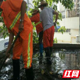 岗亭顶部污水惹蚊虫 社区“格格”排忧解难