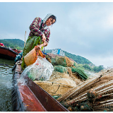 中国最大淡水湖鄱阳湖春季禁渔期结束