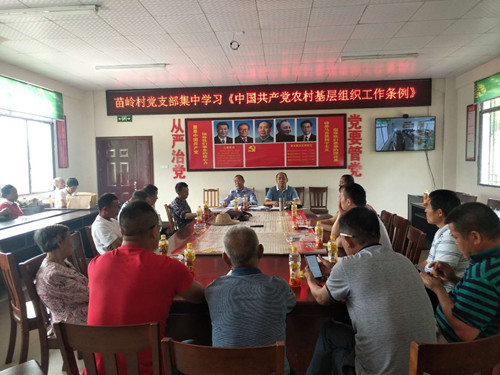慈利县苗岭村集中学习《中国共产党农村基层组织工作条例》