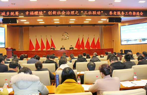 “城乡统筹、幸福醴陵”创新社会治理推进会副本.jpg