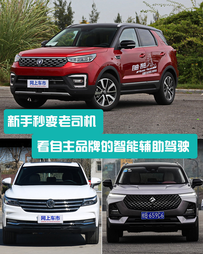 新手秒变老司机看自主品牌的智能辅助驾驶-图1