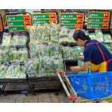 6月份全国批发市场28种蔬菜批发均价环比下跌7.5%