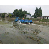 禹山镇：扎实推进河长制　着力打造样板河