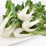 蓝山县有机蔬果畅销大湾区