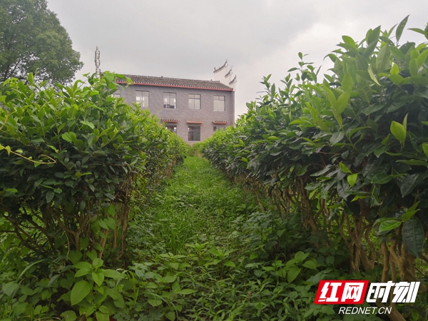 微信图片_20190621092450.jpg