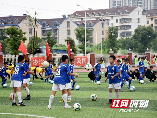 微信图片_201906211924205.jpg