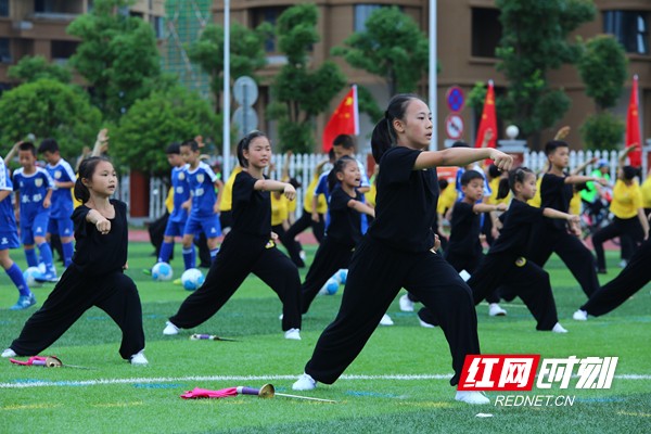 微信图片_201906211924201.jpg