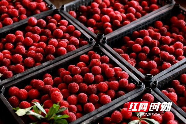 QQ截图20190621101426_看图王.jpg