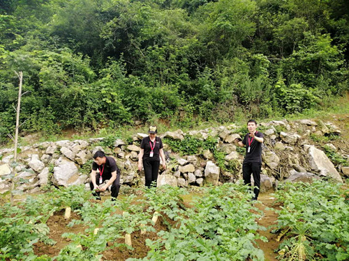 慈利县三官寺土家族乡：“订单”扶贫山区农民增收
