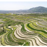 中国减贫的西海固报告