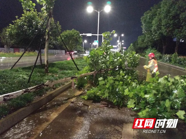 湘潭市城管部门迅速行动 积极应对暴雨天气