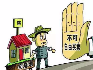 非法转让农村宅基地 合同被判无效