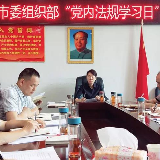 武冈市委组织部机关启动“党内法规学习日”活动