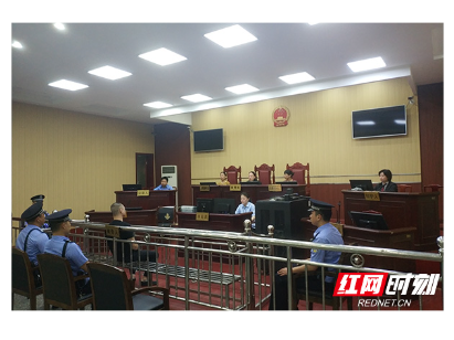 芦淞区：男子贩卖毒品  一审判处有期徒刑10年