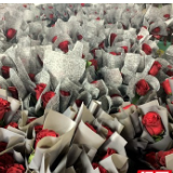 芳菲助力中非经贸博览会 11万支玫瑰为中非友谊盛开