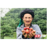 湘西凤凰樟坡村的475天 从“输血式”扶贫变“造血式”脱贫