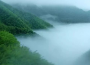 双牌：初夏阳明山 最温柔的存在