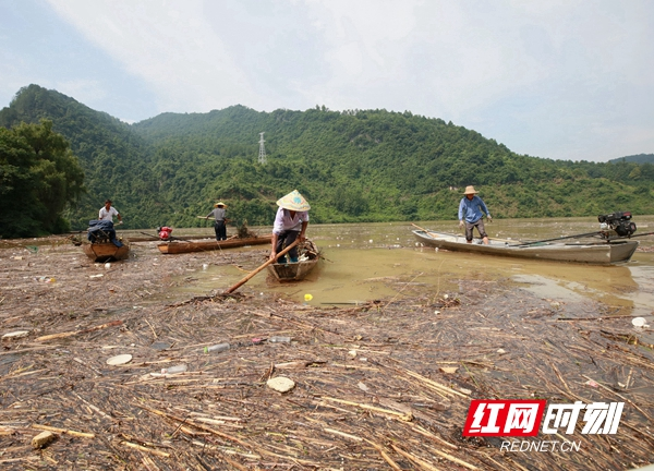 张家界茅岩河风景区：清理漂浮物　应对汛期保畅通