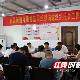 农村基层组织向党组织报告工作 这个街道率先全市开展试点