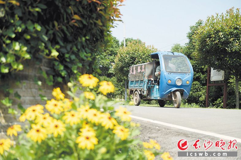 　　宁乡市夏铎铺镇天马新村，垃圾收运车行驶在美丽的乡村道路上。　　长沙晚报全媒体记者 黄启晴 摄