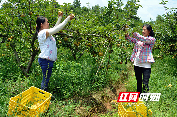 ????????????? ??.jpg