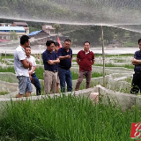 双牌：蒋爱先深入麻江镇调研农业产业发展和河长制工作推进情况
