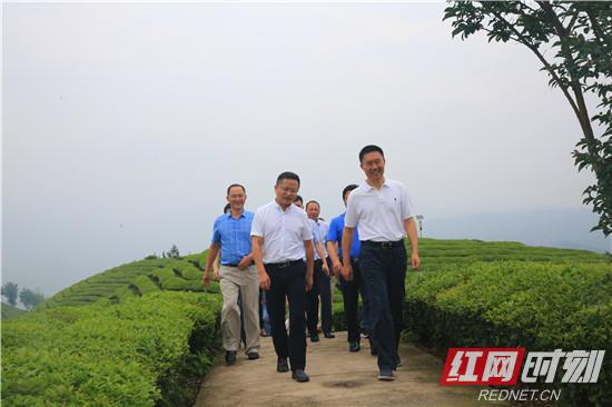 赵云海带队到鹤峰县考察交流