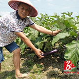 双牌县生态经济成为后发赶超的“跳板”