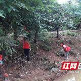 400余名志愿者齐参与 圭塘河换“新貌”