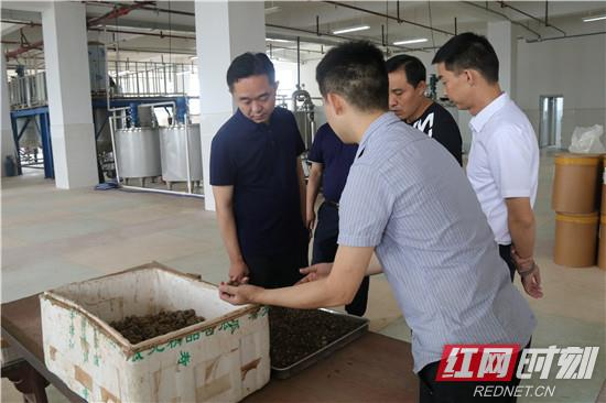 刘卫兵调研指导重点项目建设工作