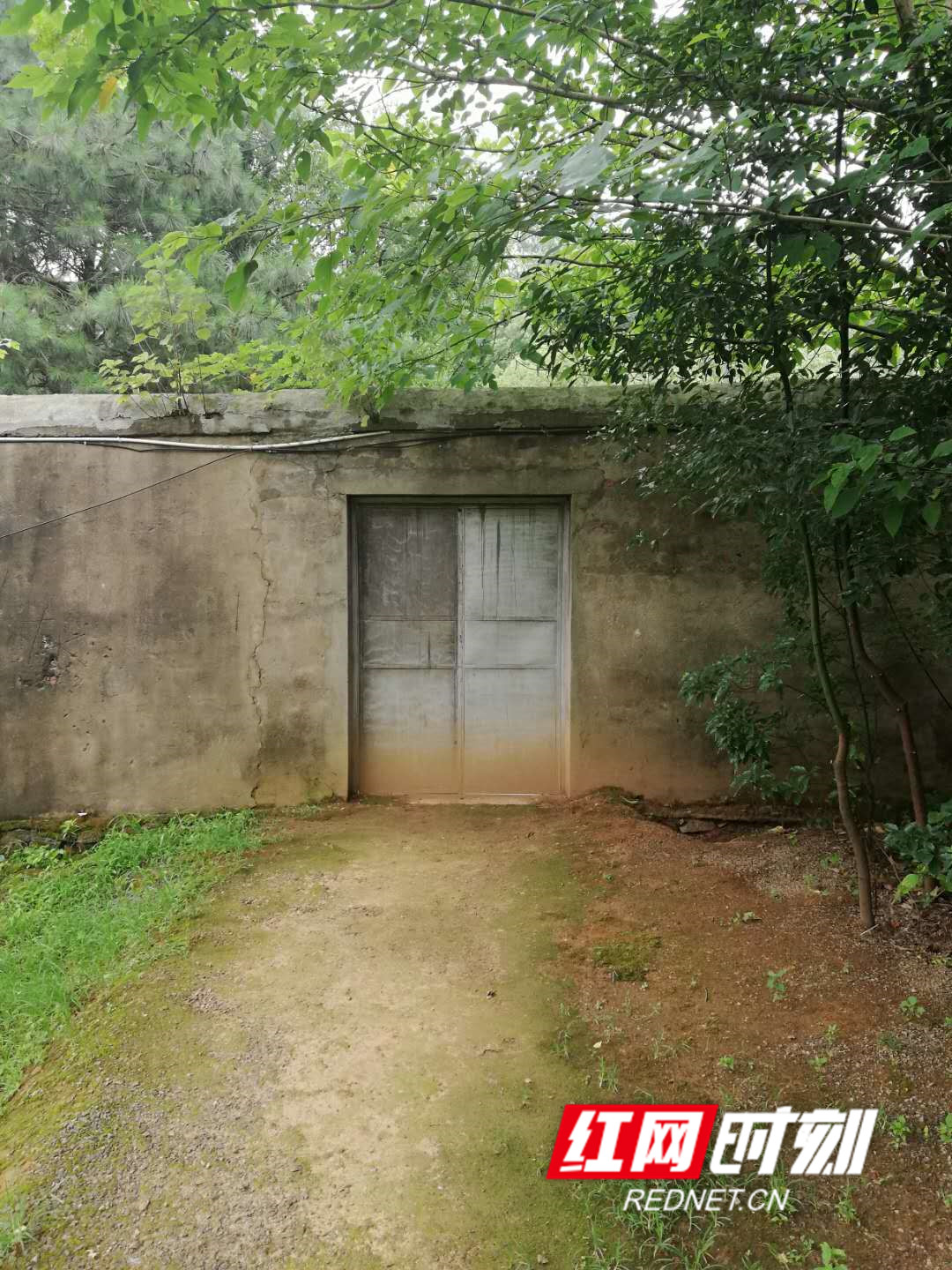 ????_20190626155522.jpg