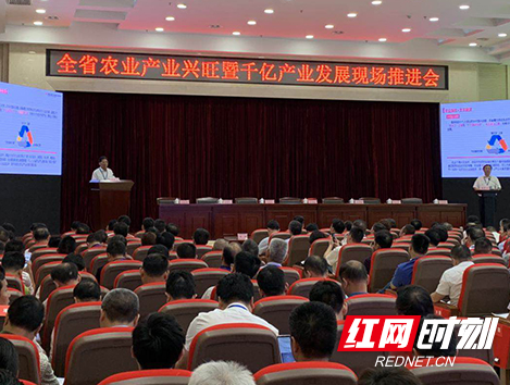 人保财险“农业保险+支农融资”新模式 护航千亿产业发展