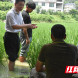 湘西州农业农村局在保靖举办稻花鱼养殖技术培训