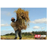 “湘”会新平台，擦亮湖南开放新窗口