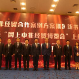 中国日报网丨《中非经贸合作案例方案集》首发 网上中非经贸博览会上线