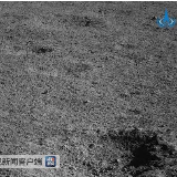 那只“兔子”又睡醒了！