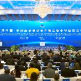 视频丨第一届中国—非洲经贸博览会在长沙开幕 见证中非经贸合作新窗口