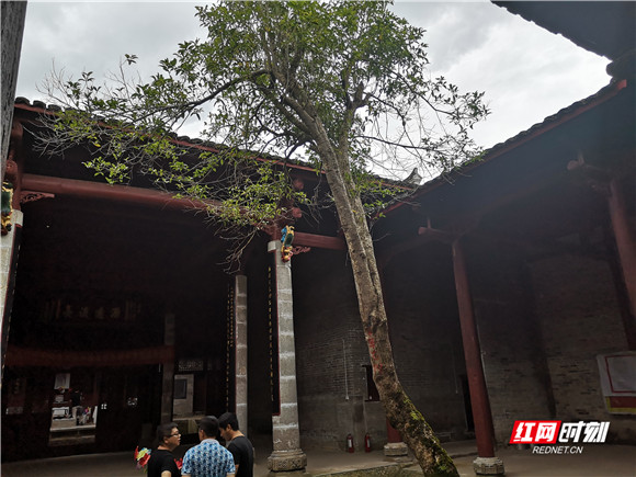 微信图片_20190626132606_副本.jpg