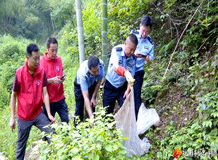 捕捉、收购、贩卖野生动物都属违法行为，桃源解救30多条野生蛇