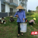 沅江社区老党员带头助力“新”环境