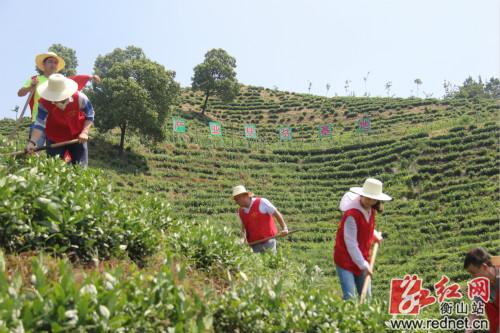 QQ图片20190628165351.jpg