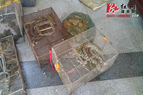 QQ图片20190628091433.jpg